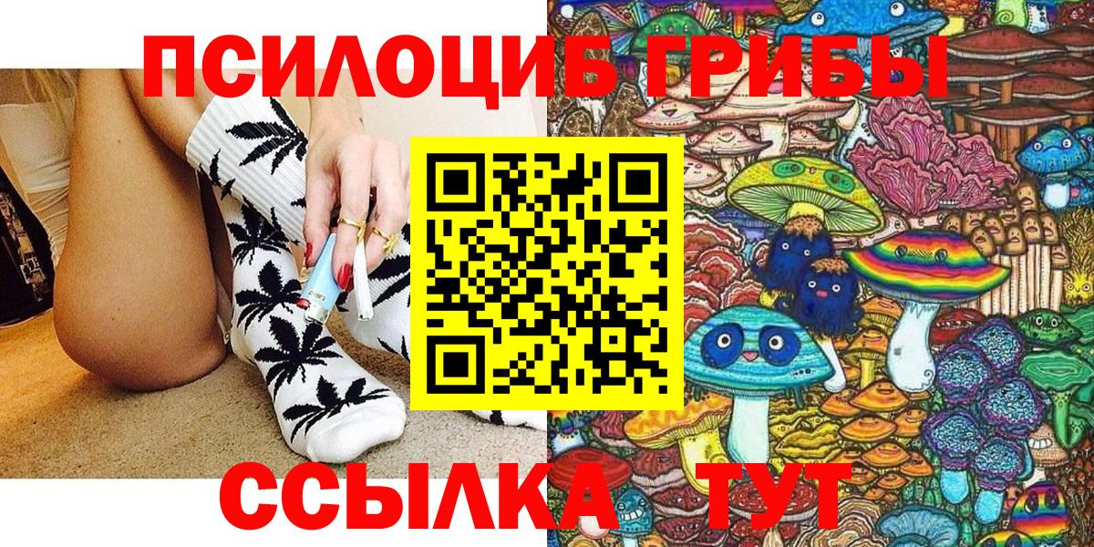 Галлюциногенные грибы Magic Shrooms  цены наркотик  Чебоксары  Вход с VPN  Псилоцибиновые грибы Psilocybine cubensis 